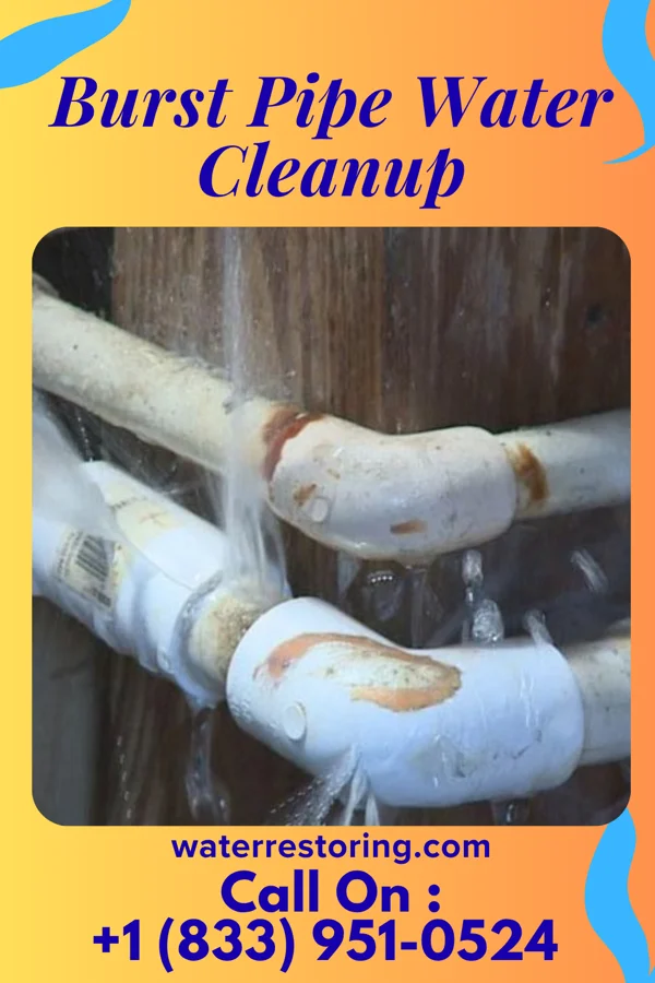 Burst Pipe Water Cleanup in Mayfield, KS