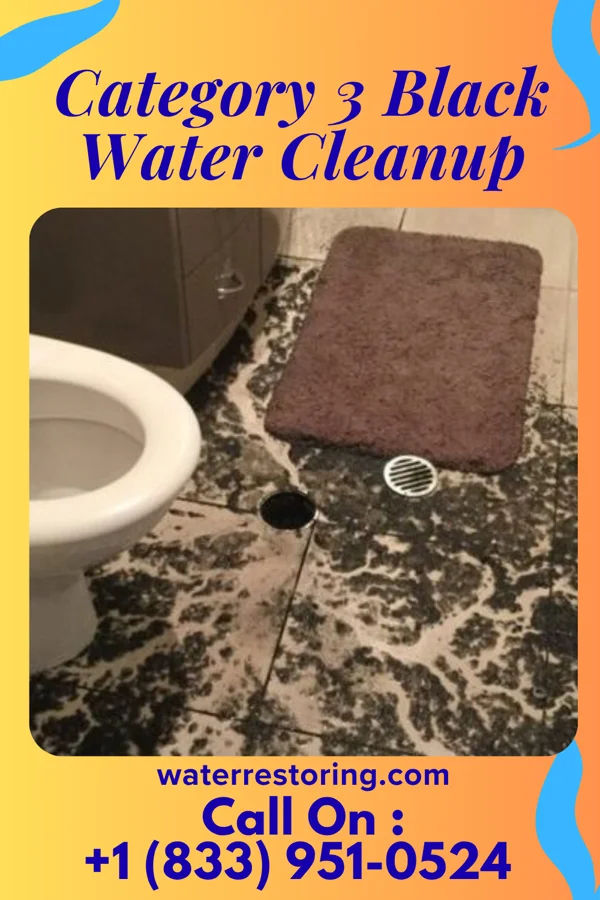 Category 3 Black Water Cleanup in Mayfield, KS